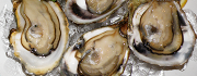 Oyster Dishes